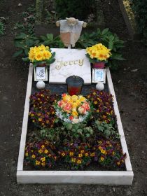 DSCF6127.jpg