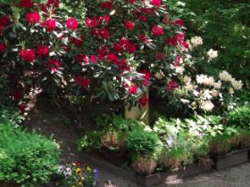 DSCF6171.jpg