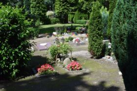 DSC_0220.JPG