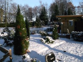 DSCF6239.JPG