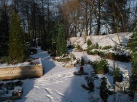 DSCF6251.JPG