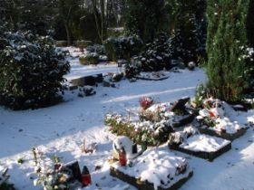 DSCF6254.JPG