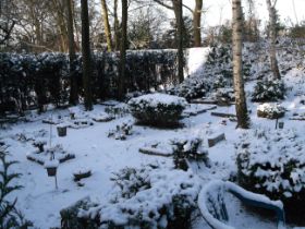 DSCF6258.JPG