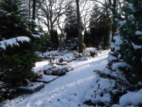 DSCF6260.JPG