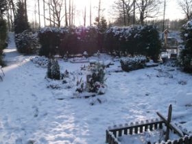 DSCF6264.JPG