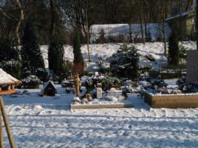 DSCF6269.JPG