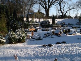 DSCF6278.JPG