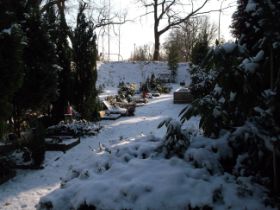 DSCF6280.JPG