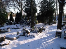 DSCF6283.JPG